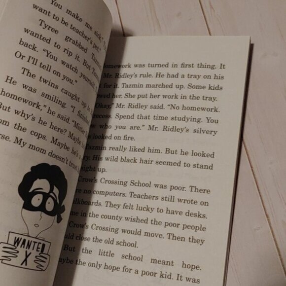 3/$13 The Hero Of Crow's Crossing By Anne Schraff Scholastic Children Book - Picture 2 of 3